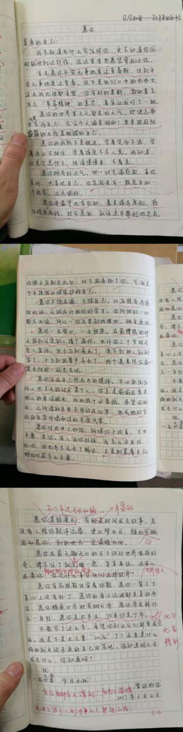  初二女生作文《愿你》走红网络之后