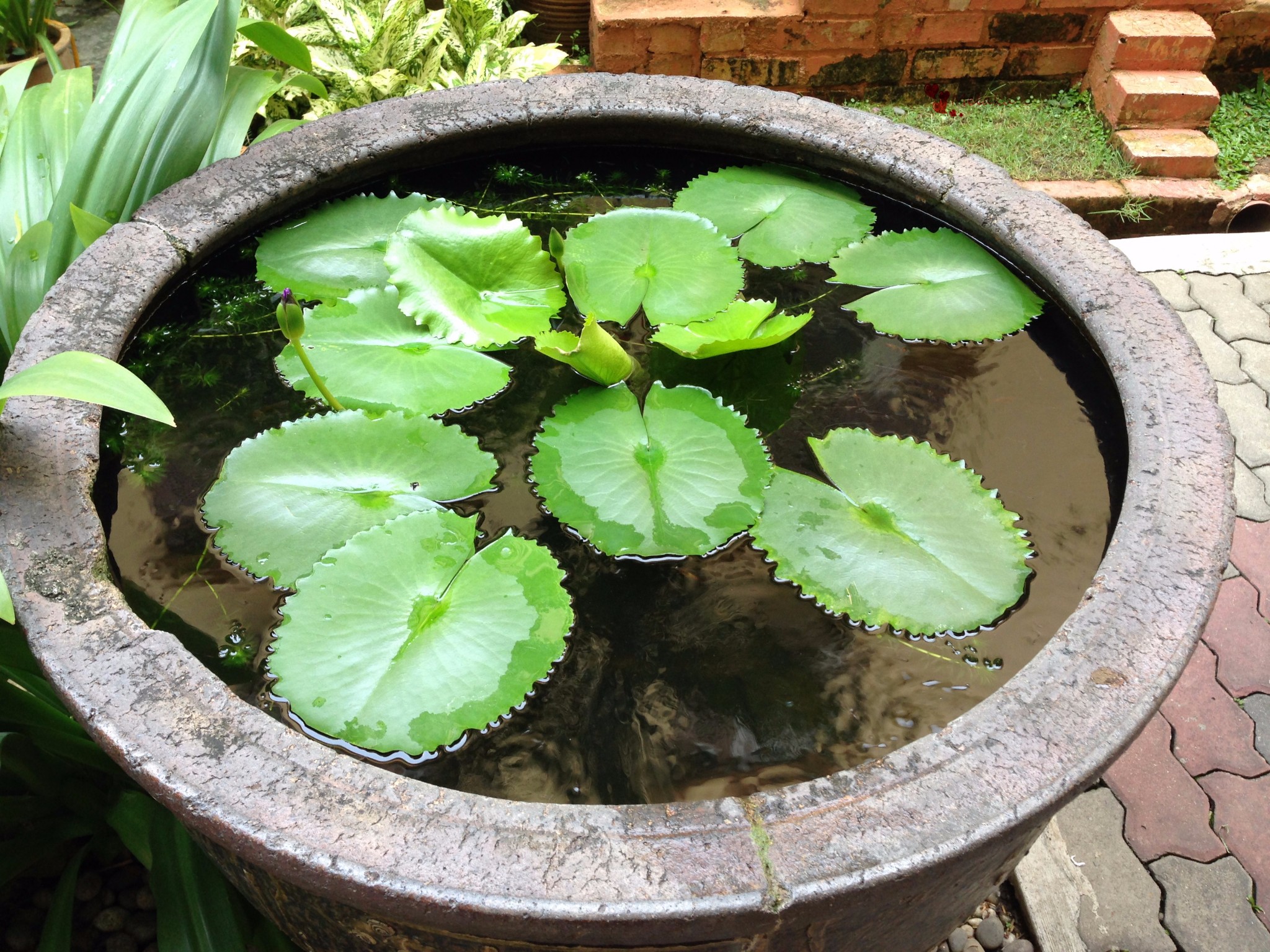 迷失在停滞的时空里——西马都邑游(槟城-怡保-马六甲-吉隆坡)