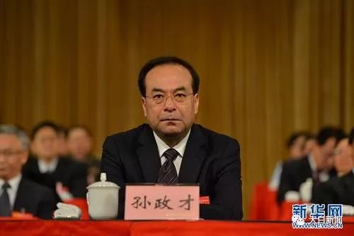2个被查大老虎 均被批“消极应付中央决策部署”