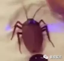 晒娃却被批违法!范玮琪两口子的路人缘依然一言难尽
