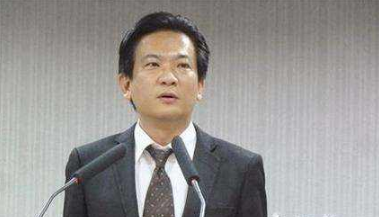 绿营称洪秀柱“台独教母” 被批:人不要脸天下无敌