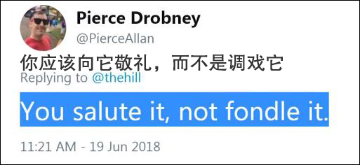 点击检察大图 特朗普又抱上星条旗 表情一脸宠溺(图)