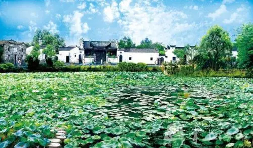 1529552088151569.png 习近平:说一千道一万 增加农民收入是关键