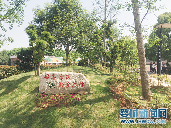 “优学在婺城”,我们这样做!