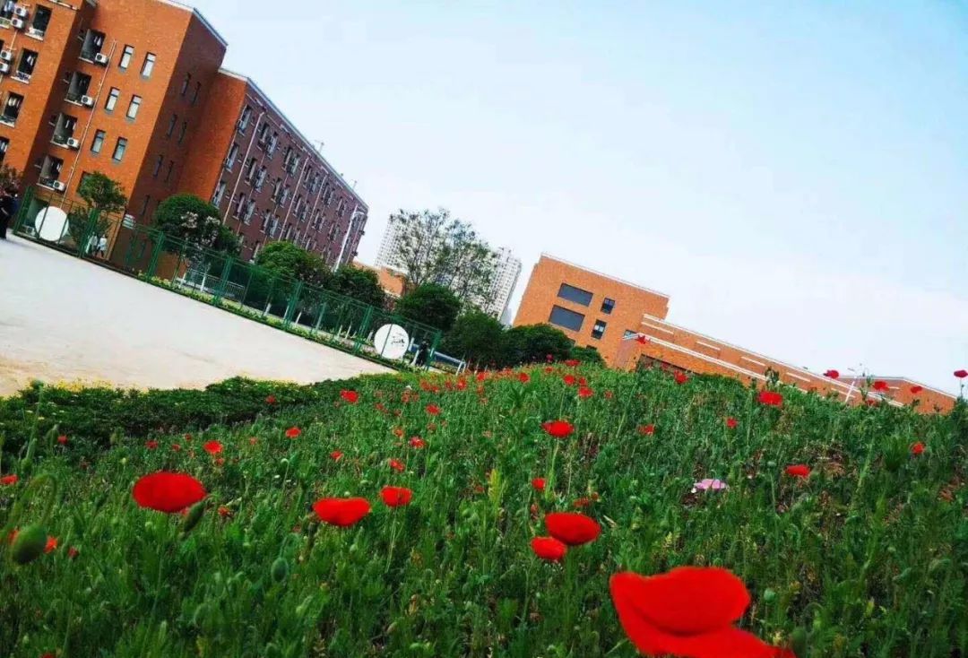 高考落榜怎么办?这所学校助你变身空姐、动妹!报名从速